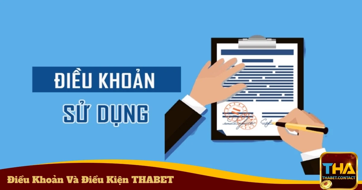 Điều Khoản Và Điều Kiện THABET - Quy Định Sử Dụng Dịch Vụ 4 Quyền và trách nhiệm của người chơi