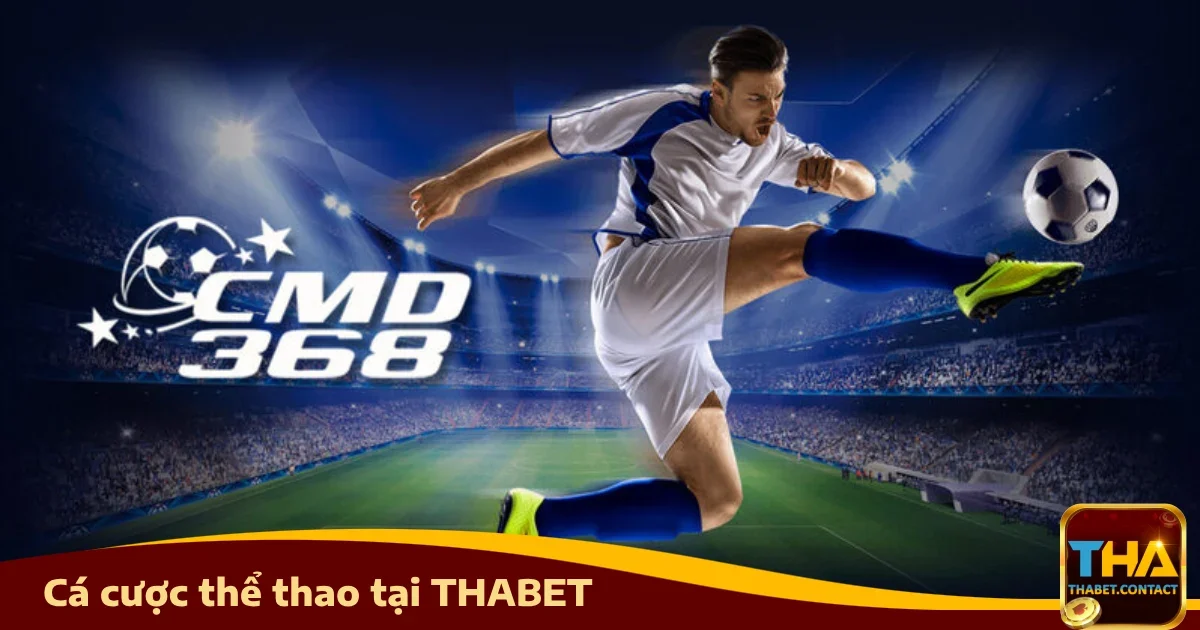 THỂ THAO 5 Bí quyết cá cược thể thao thành công tại Thabet