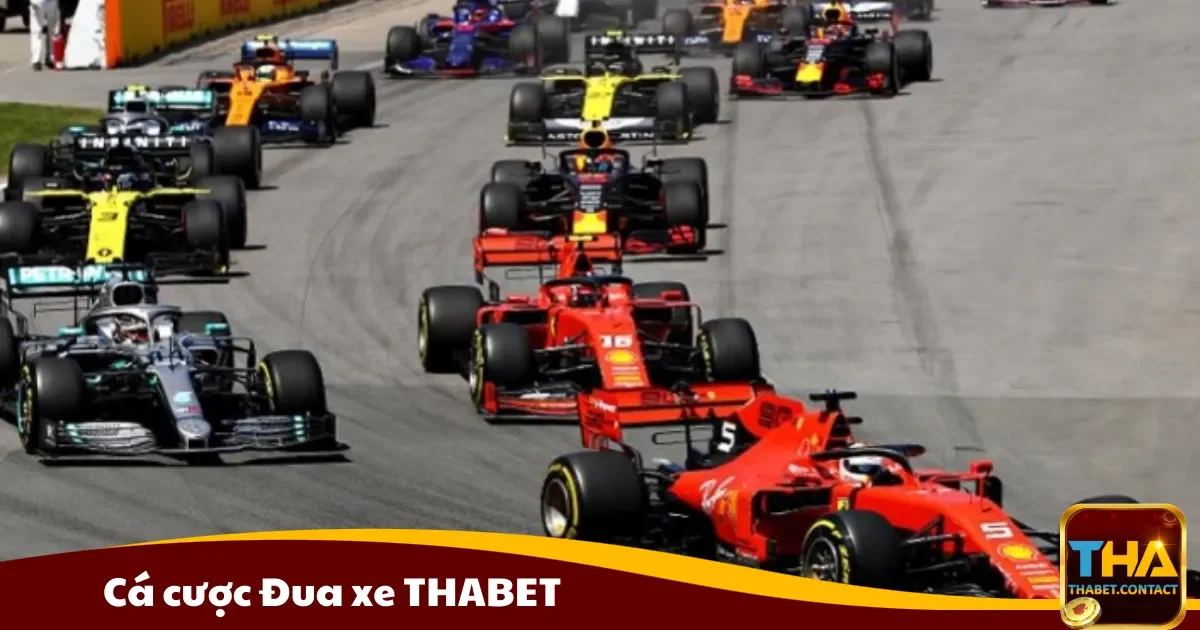 Cá cược Đua xe THABET – Hướng dẫn để tối ưu lợi nhuận